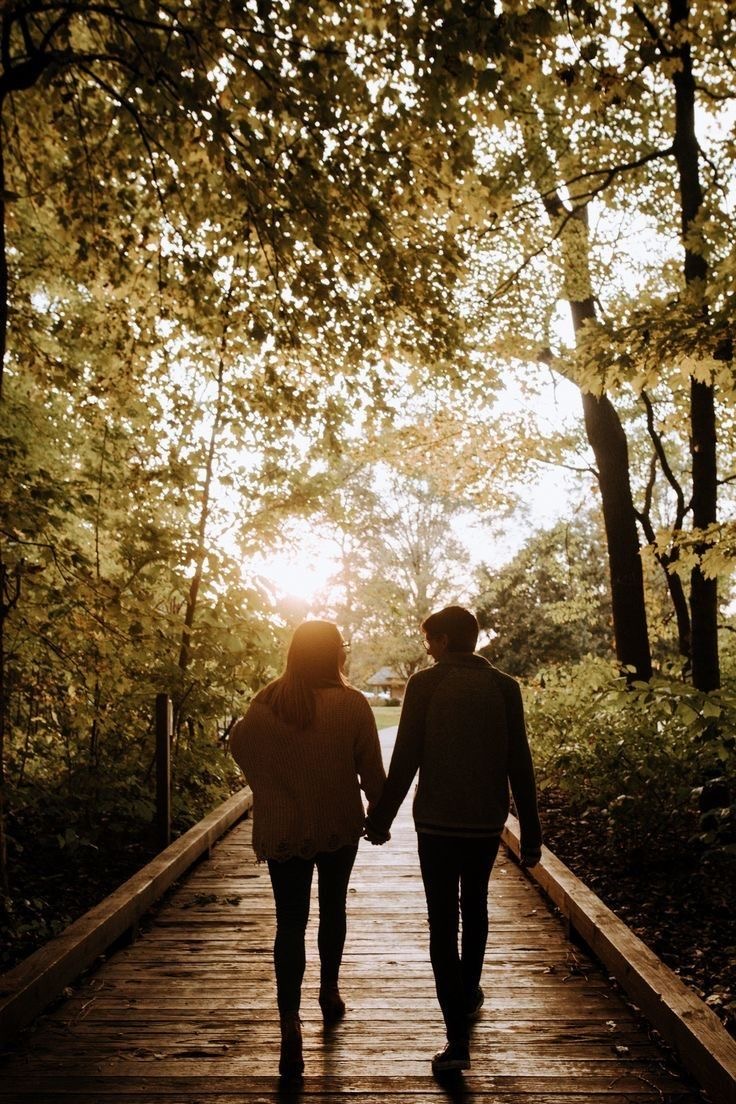 Description de l’image